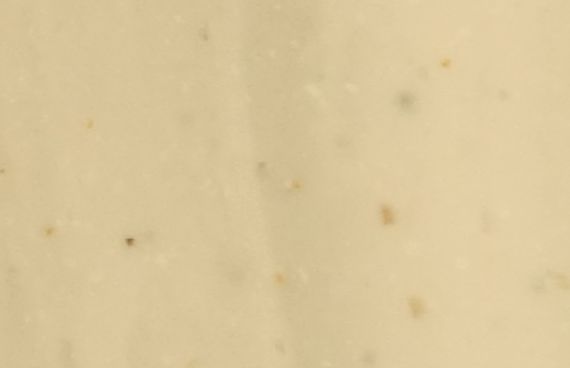 V295