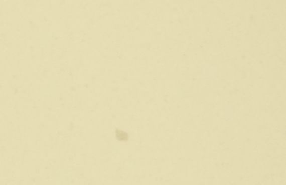 MM899